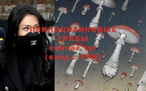 твердый Алзамай